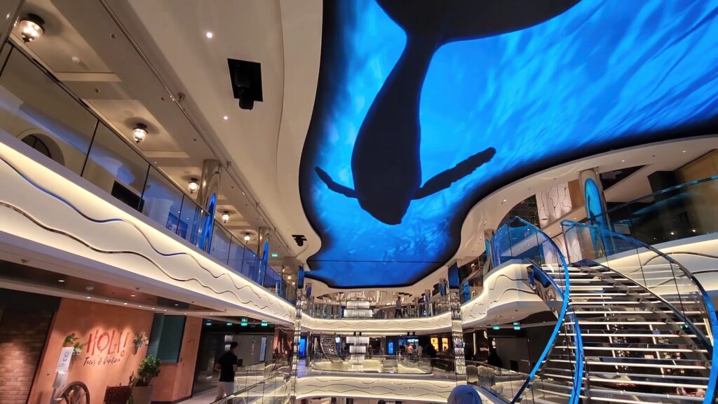 MSC Ceiling